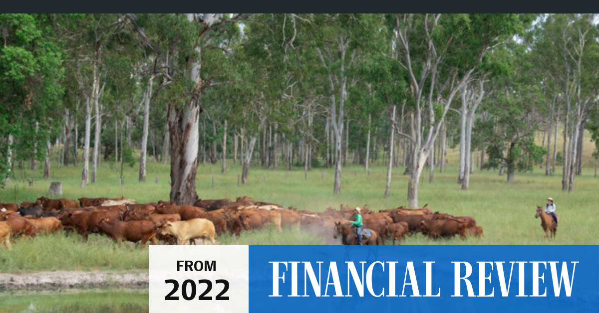 Record beef prices Farmers snap up 23m of cattle properties at